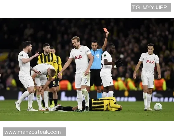 欧联杯热刺与波尔图激战成平局全场焦点瞬间引发热烈讨论