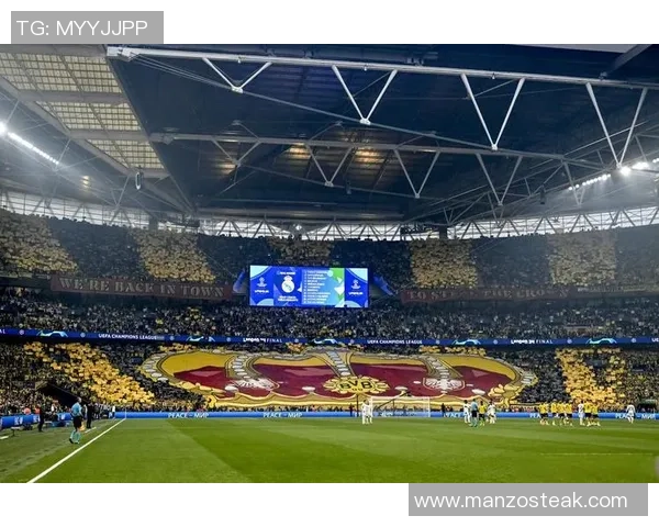 欧冠惊喜：那不勒斯逆转多特蒙德全场沸腾的精彩瞬间解析